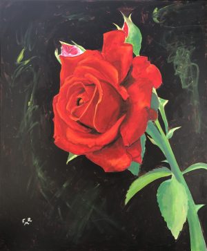 Rosa ‘Realista’ (2021)